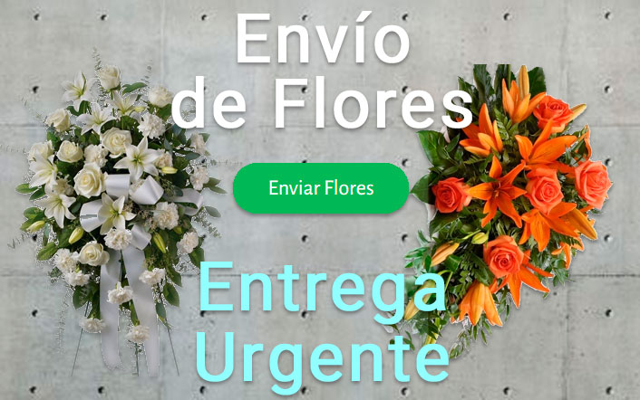 Envio de flores urgente a Funeraria Vic